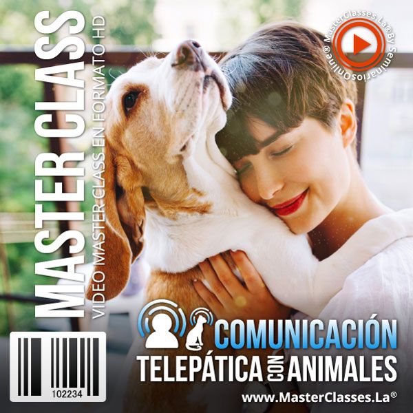 Curso online Comunicación Telepática con Animales para aprender técnicas de conexión intuitiva y fortalecer la relación con las mascotas.