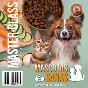 Curso online Mascotas Sanas para aprender cuidados, alimentación y bienestar de perros y gatos.
