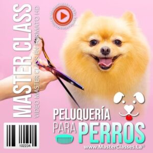 Curso online de Peluquería para Perros con técnicas de grooming, higiene y cuidado profesional del pelaje.